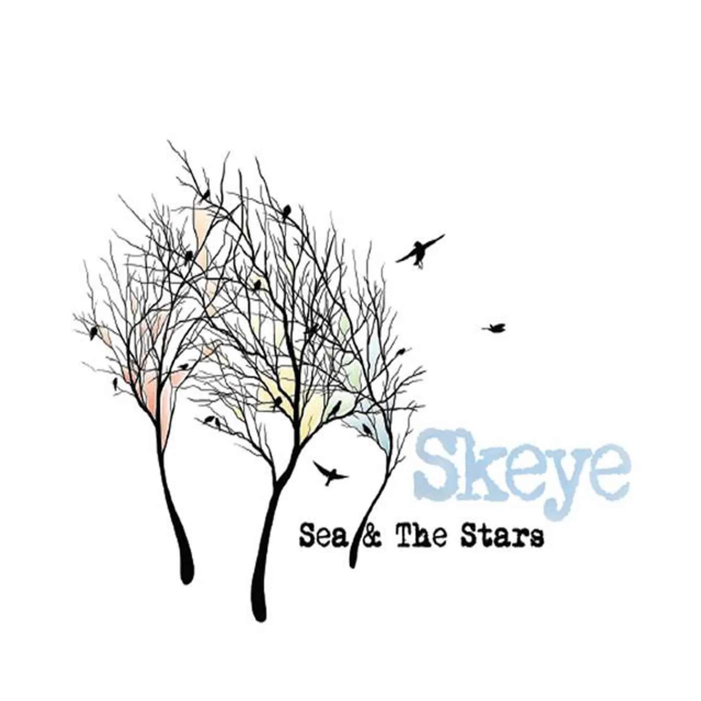 Skeye Brand Page