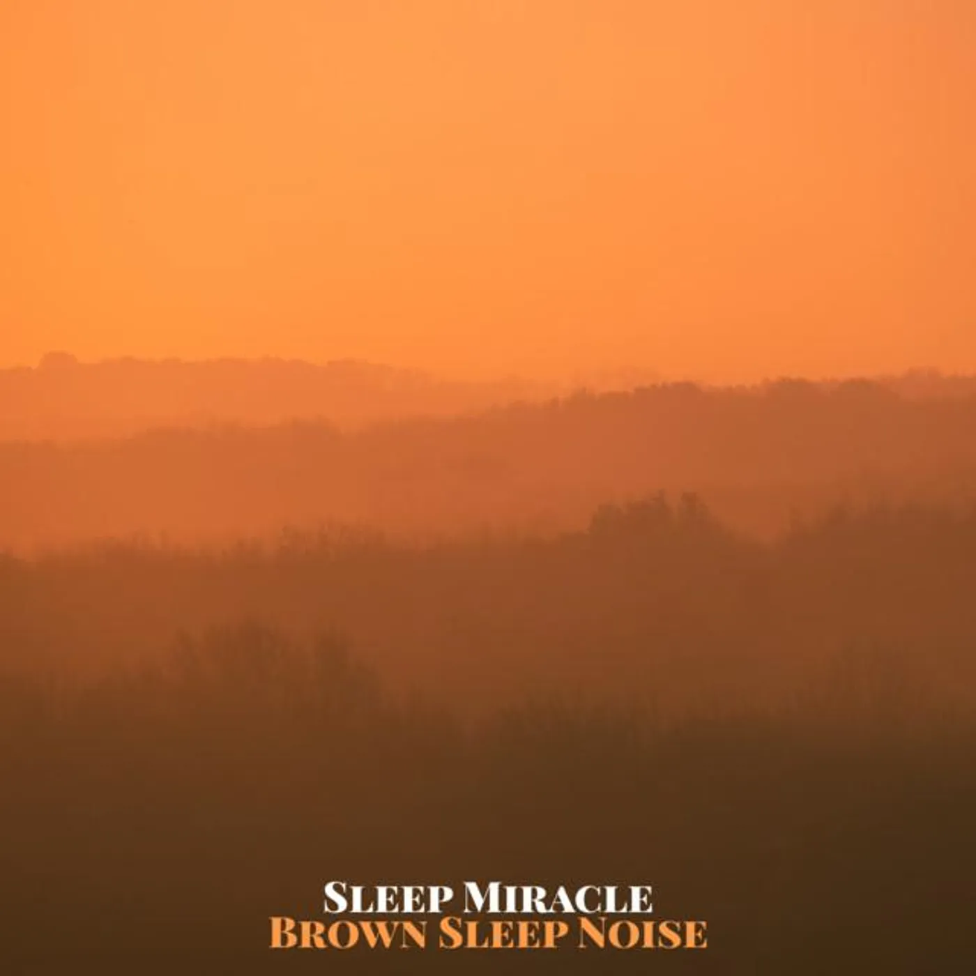 Sleep Miracle