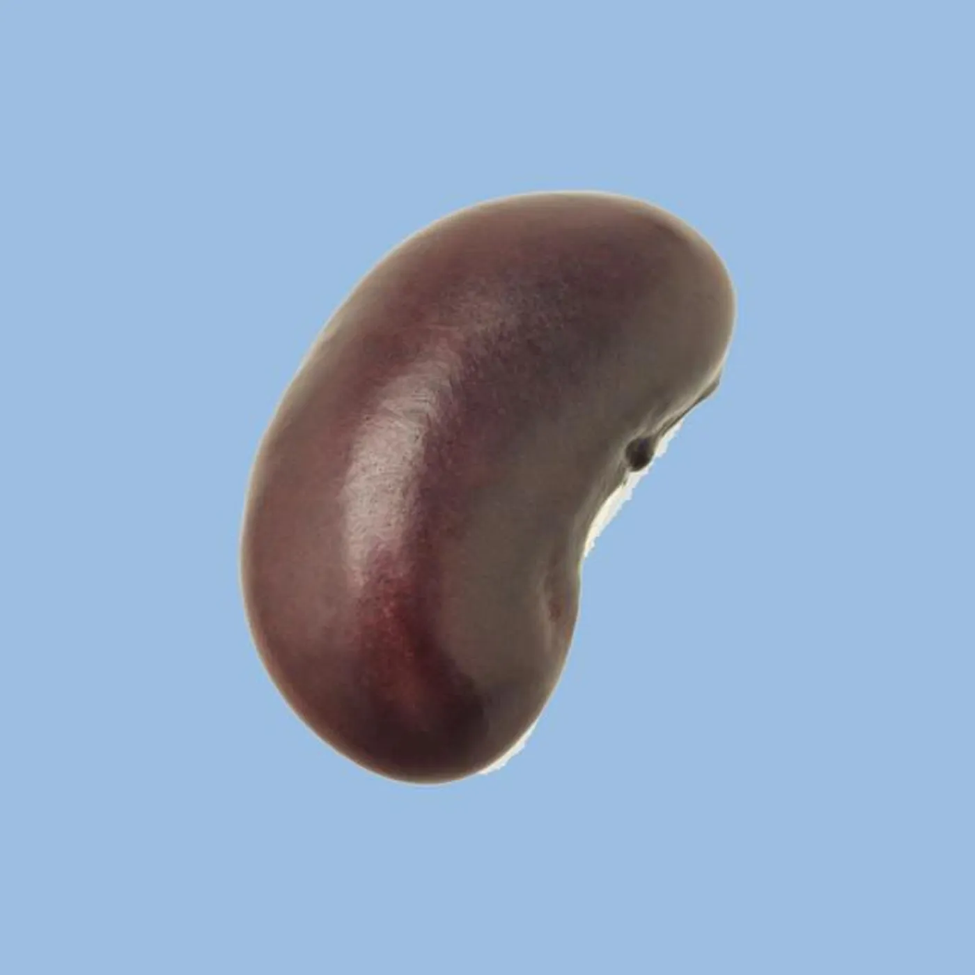 Sleep Sound Brand Page