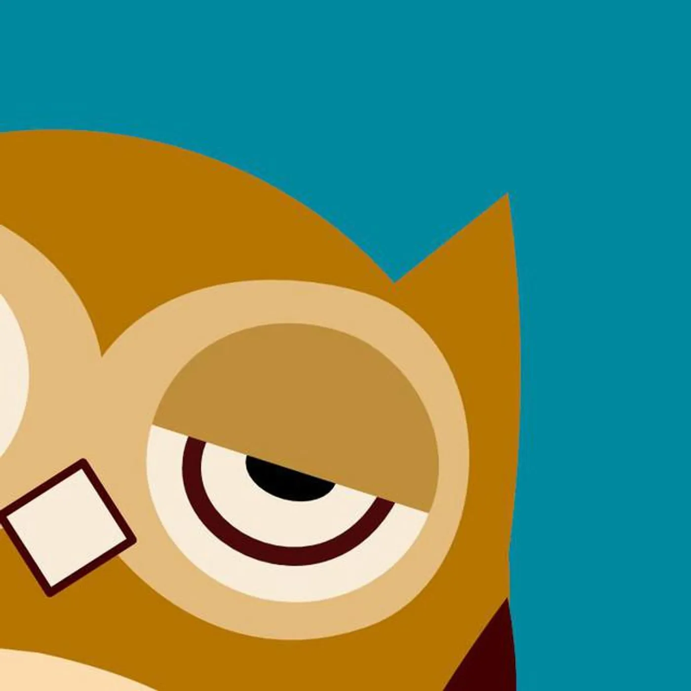 Sleepy Owls