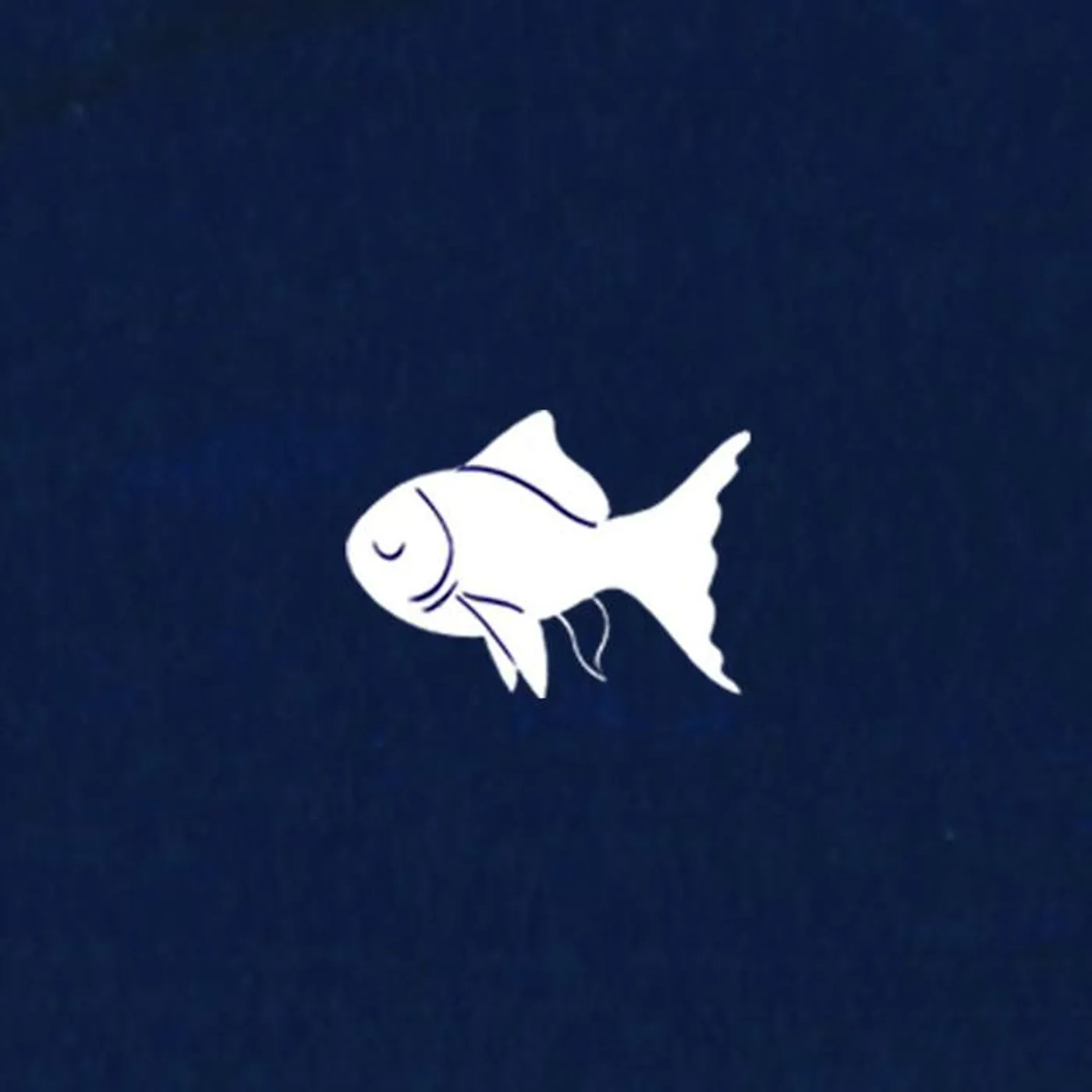 Sleepy Fish Brand Page