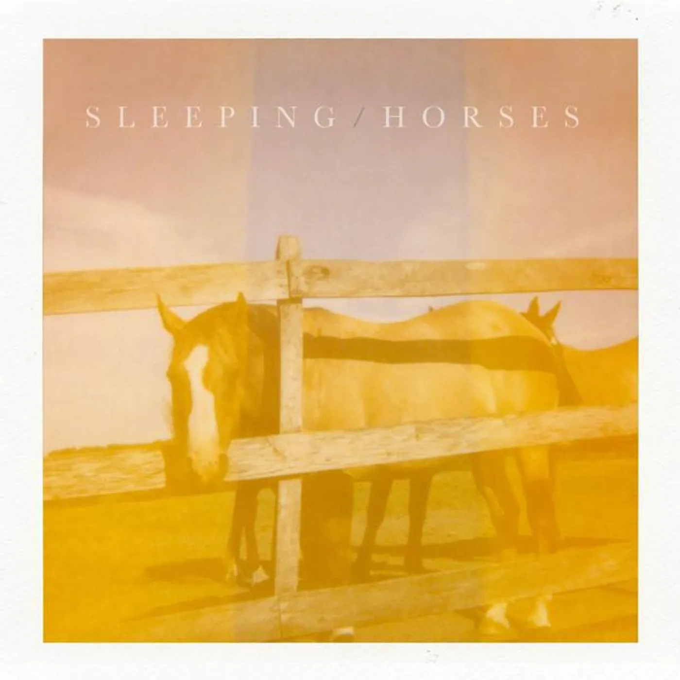 Sleeping Horses