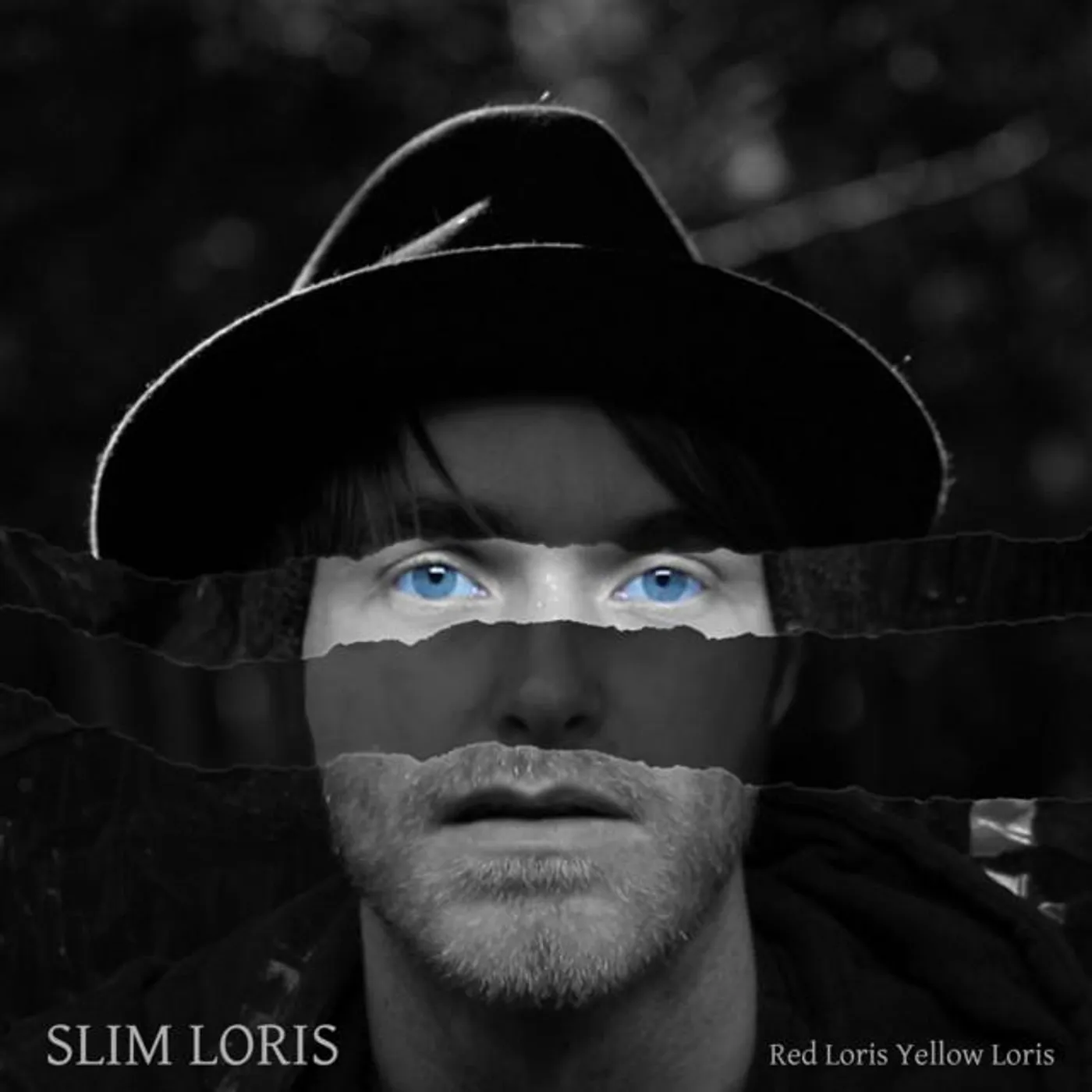 Slim Loris
