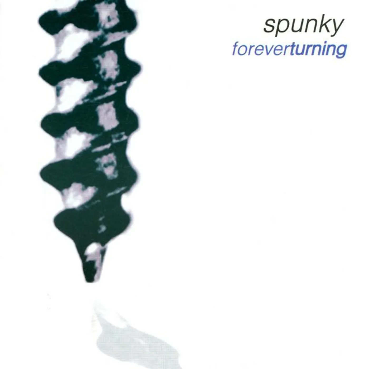 Spunky