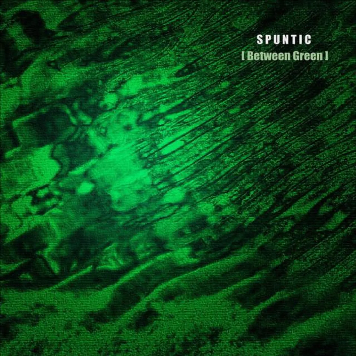 Spuntic