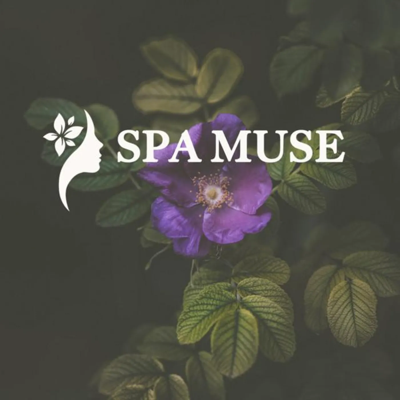 SPA MUSE Brand Page
