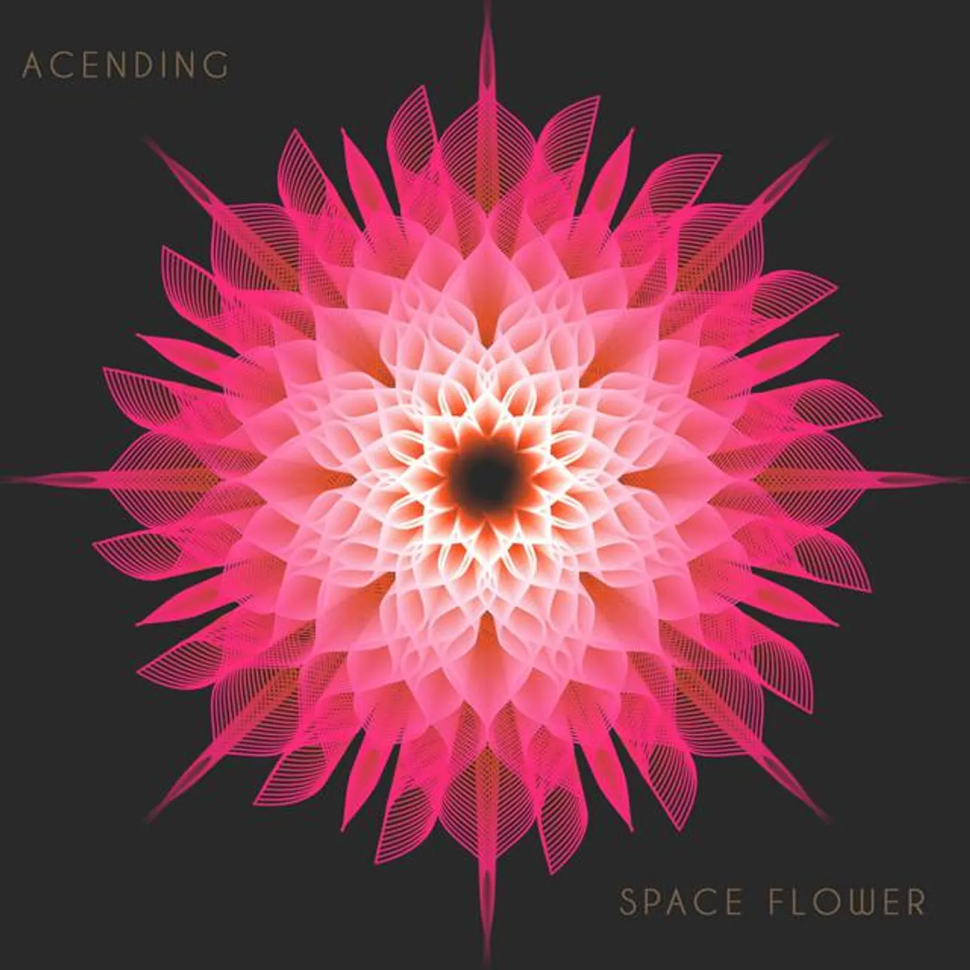 Space flower Brand Page