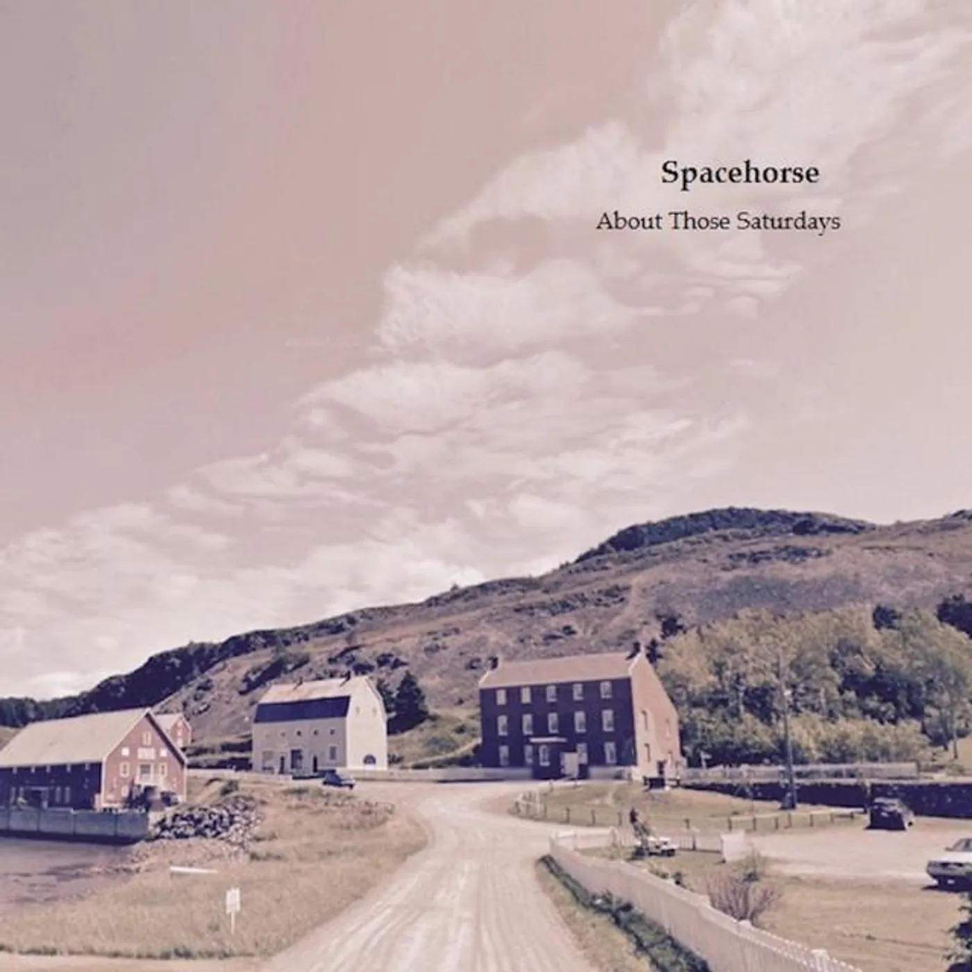 Spacehorse