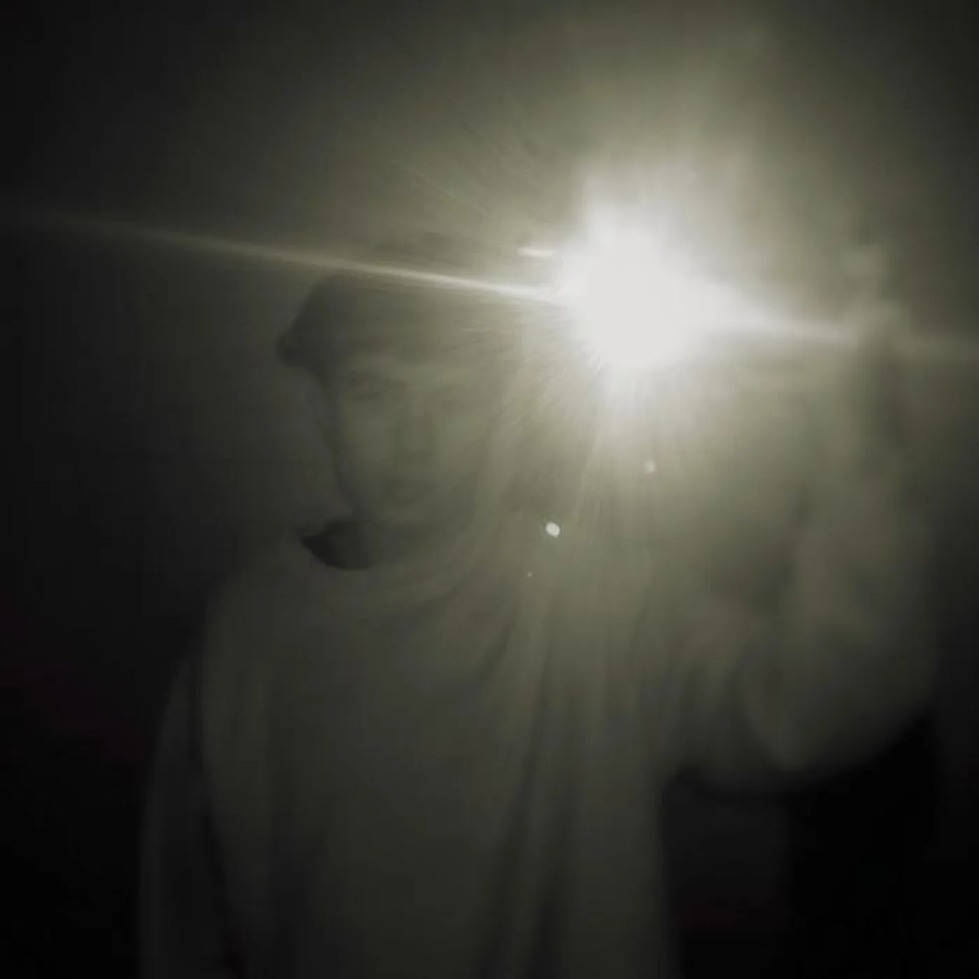 SPALAXX