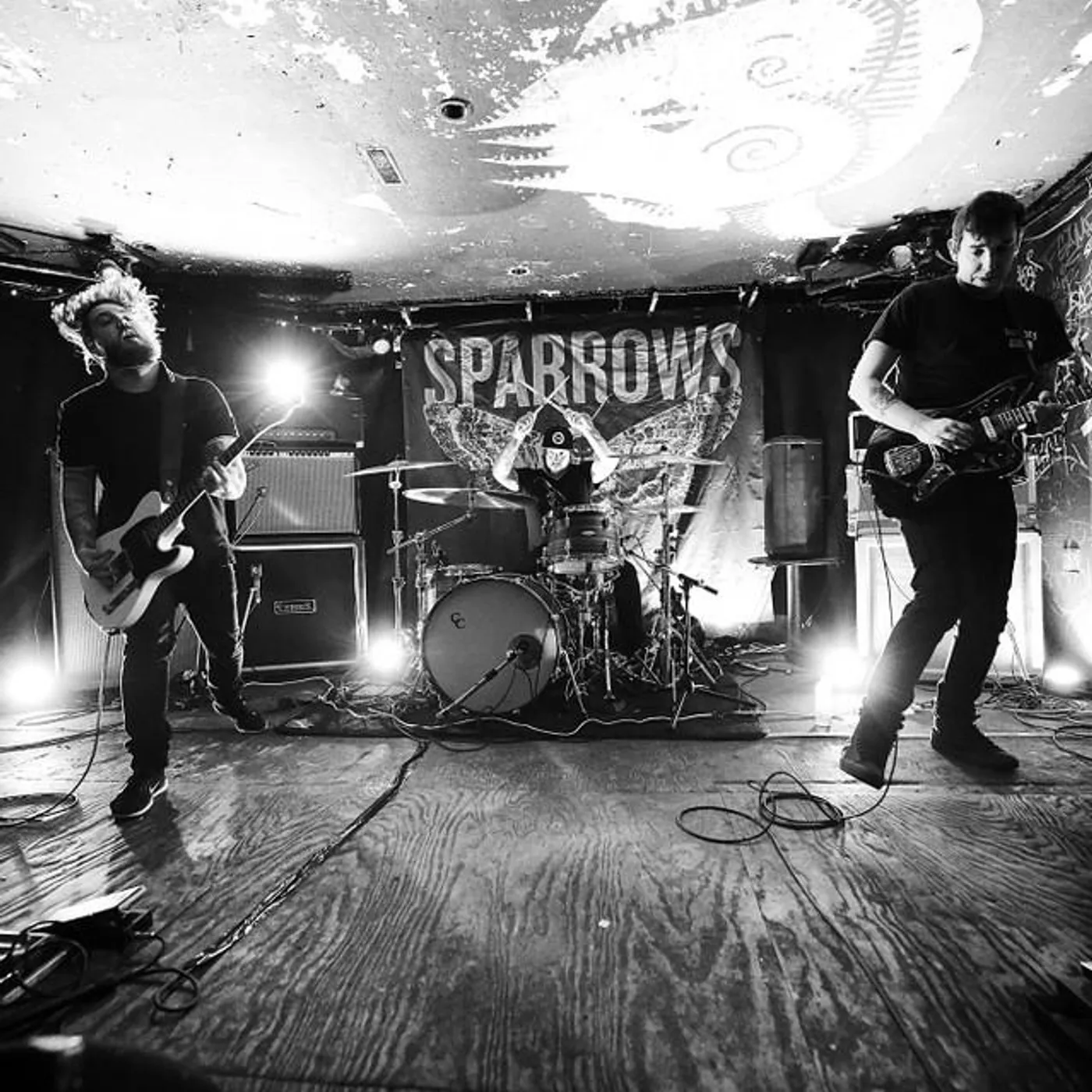 Sparrows Brand Page