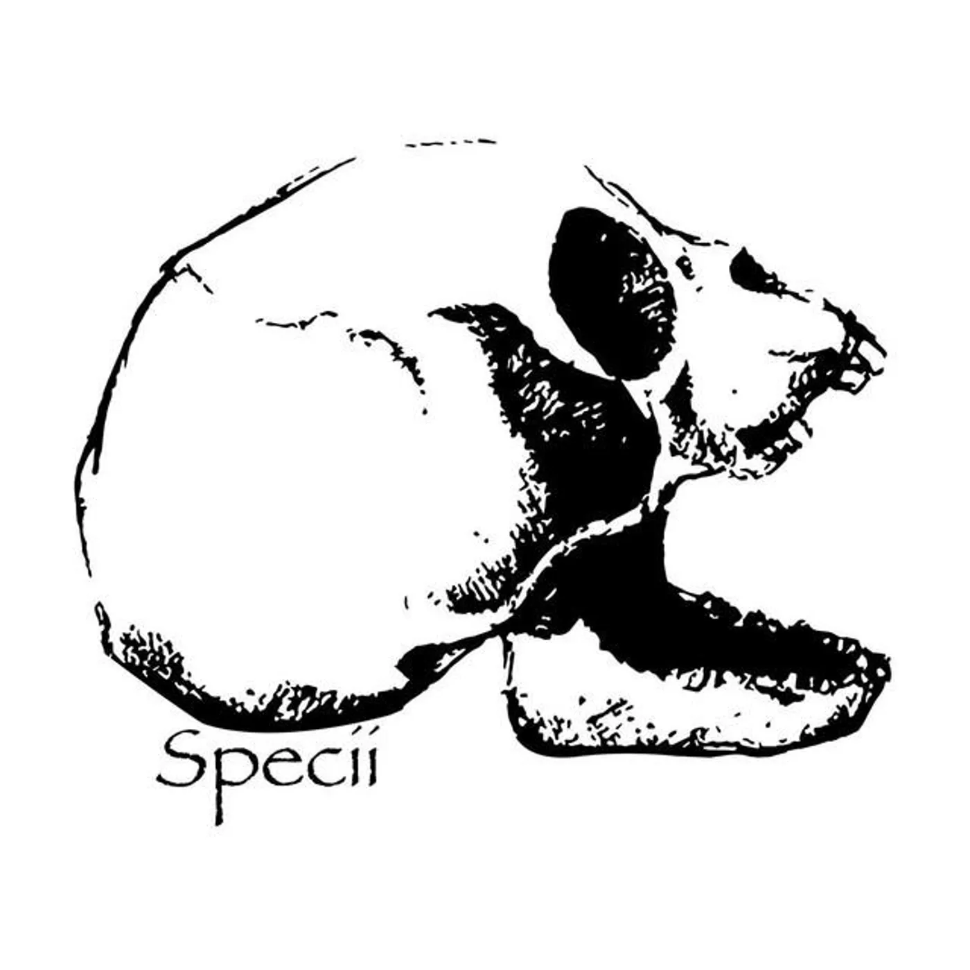 Specii Brand Page