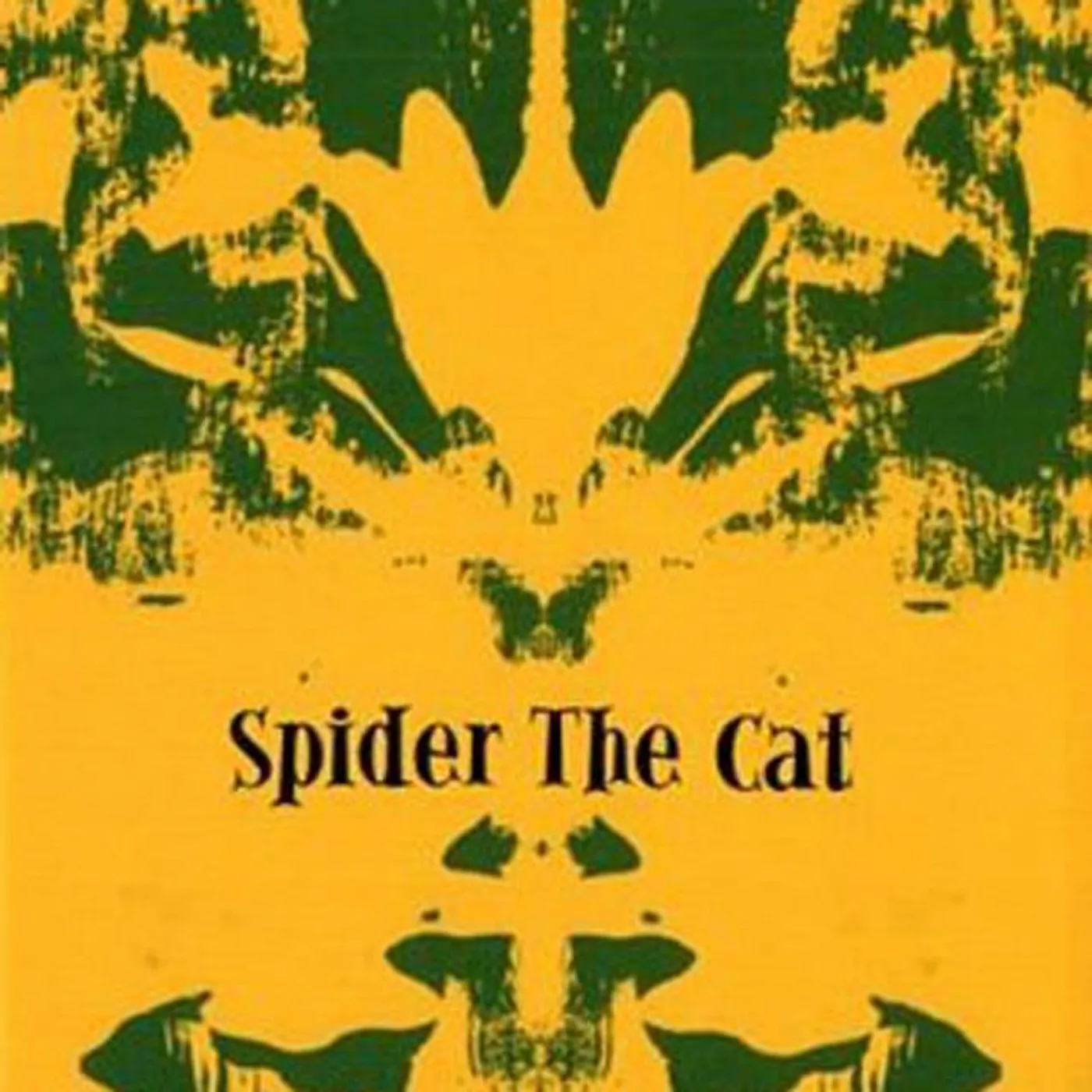 Spider the Cat