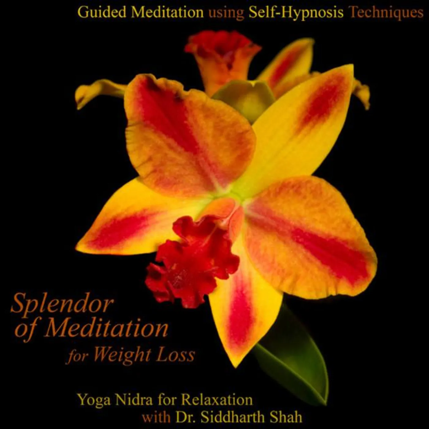 Splendor of Meditation for Weight Loss
