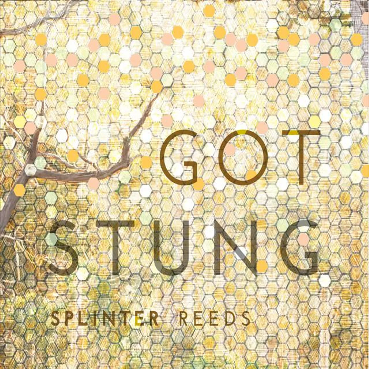 Splinter Reeds