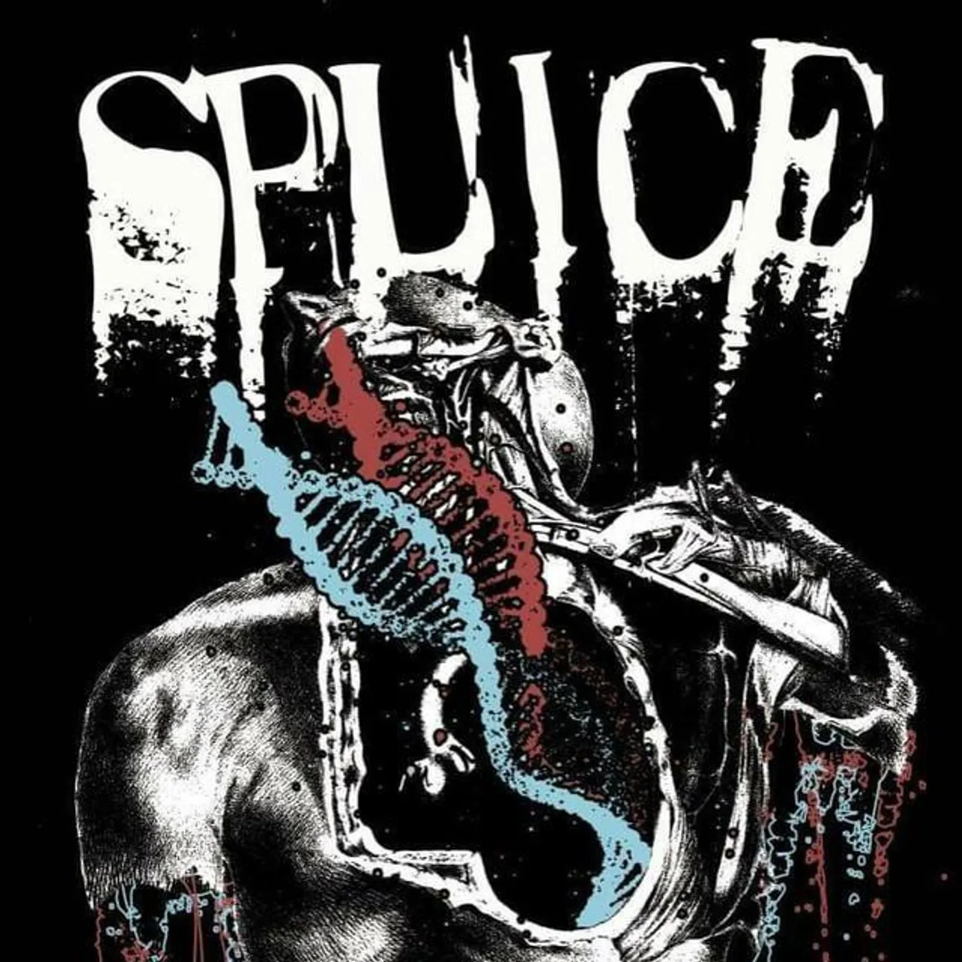 Splice