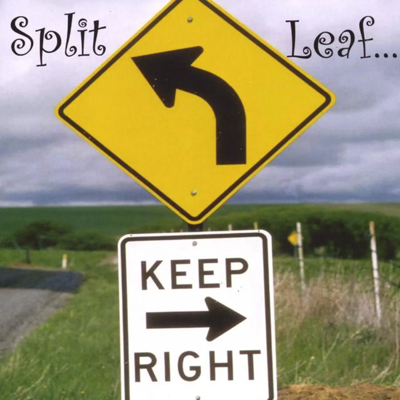 Split Leaf Brand Page