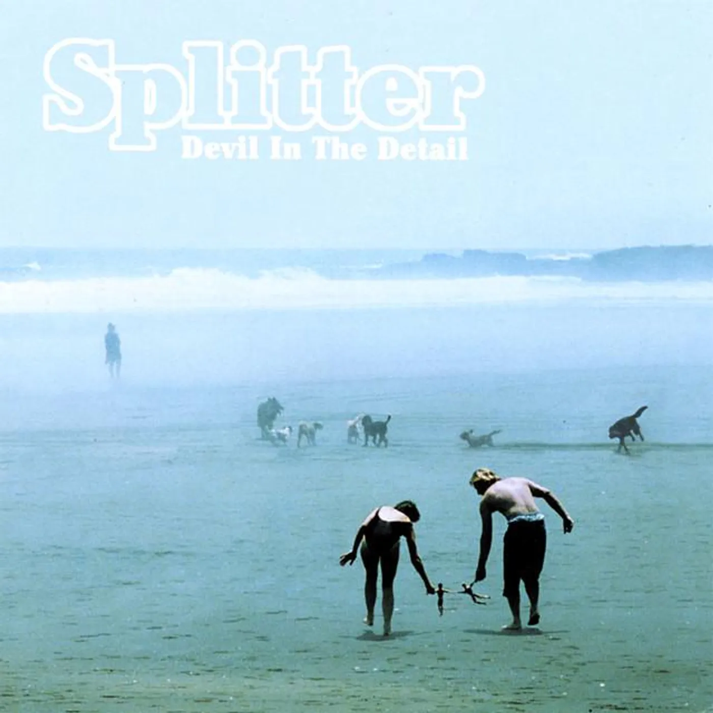 Splitter Brand Page
