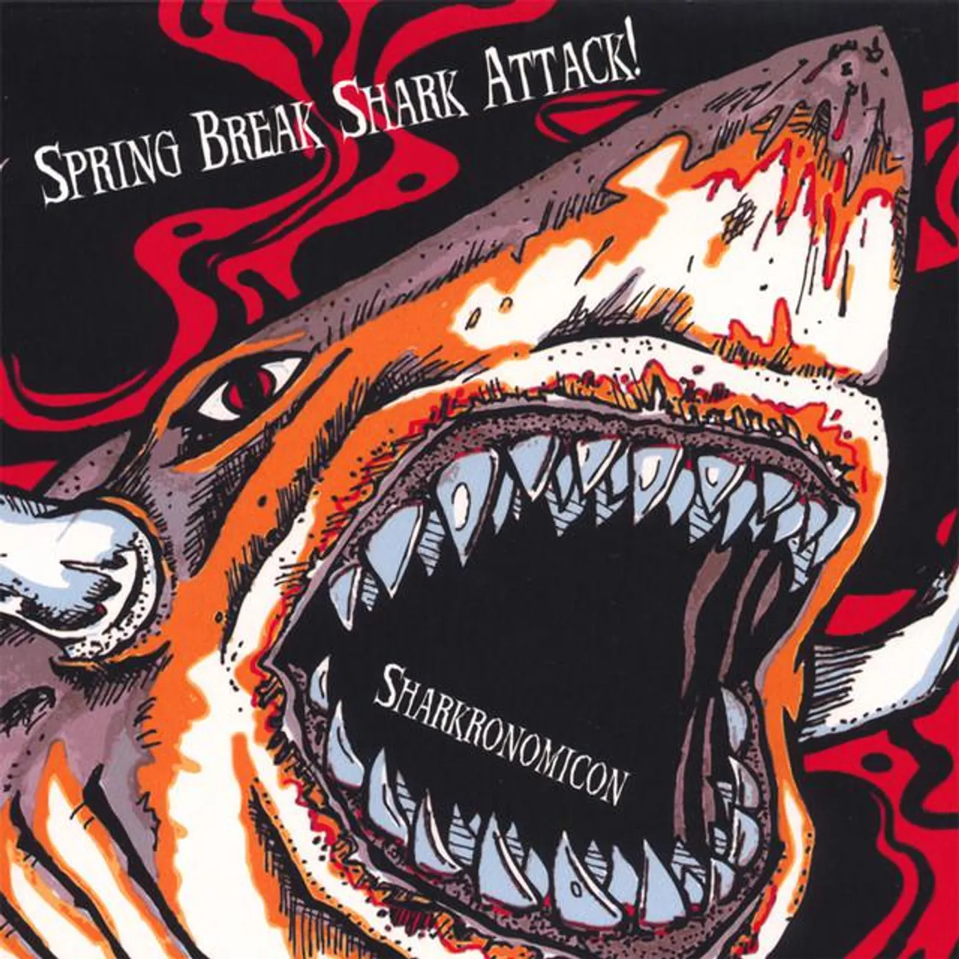 Spring Break Shark Attack
