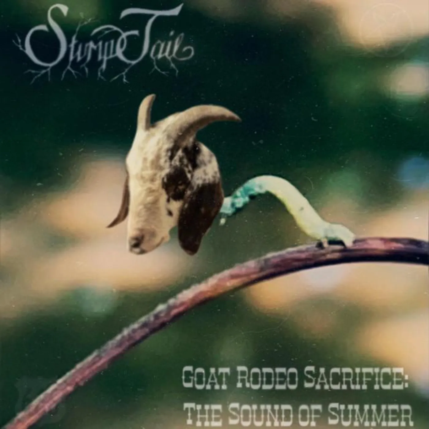 Stump Tail
