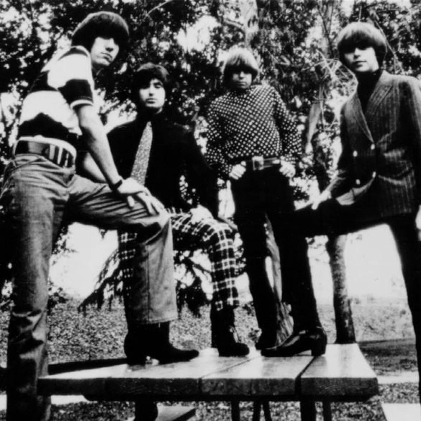 The Standells Brand Page
