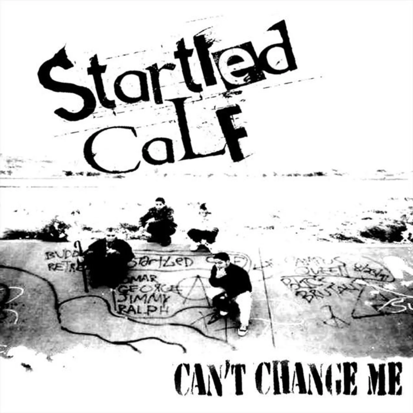 Startled Calf