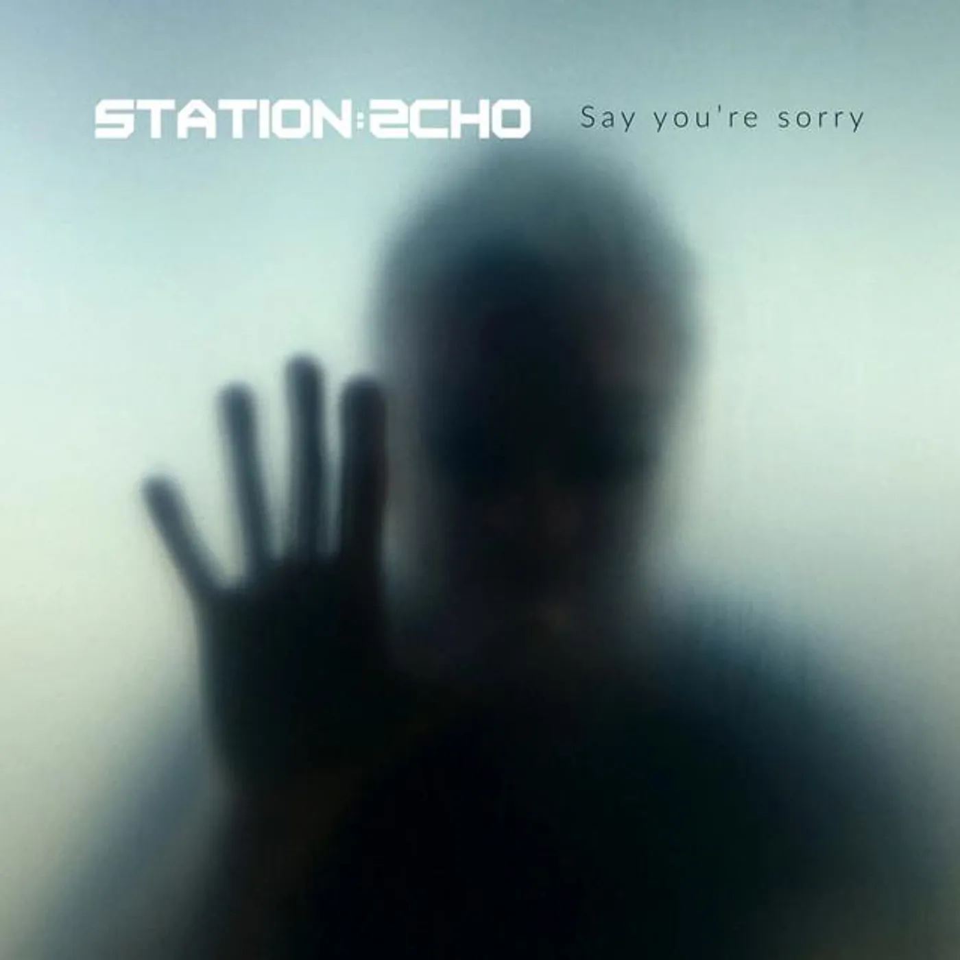 Station Echo Brand Page