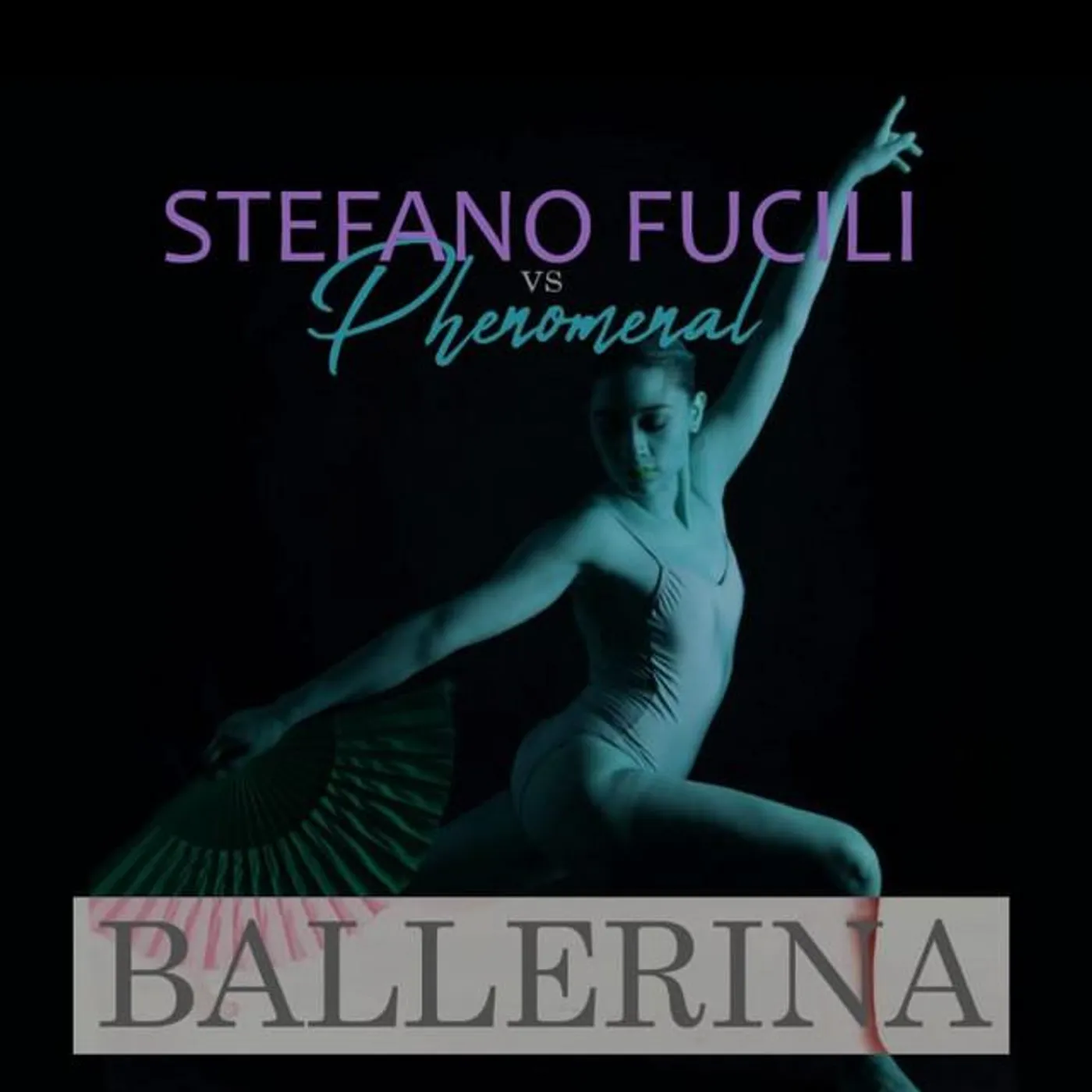 Stefano Fucili