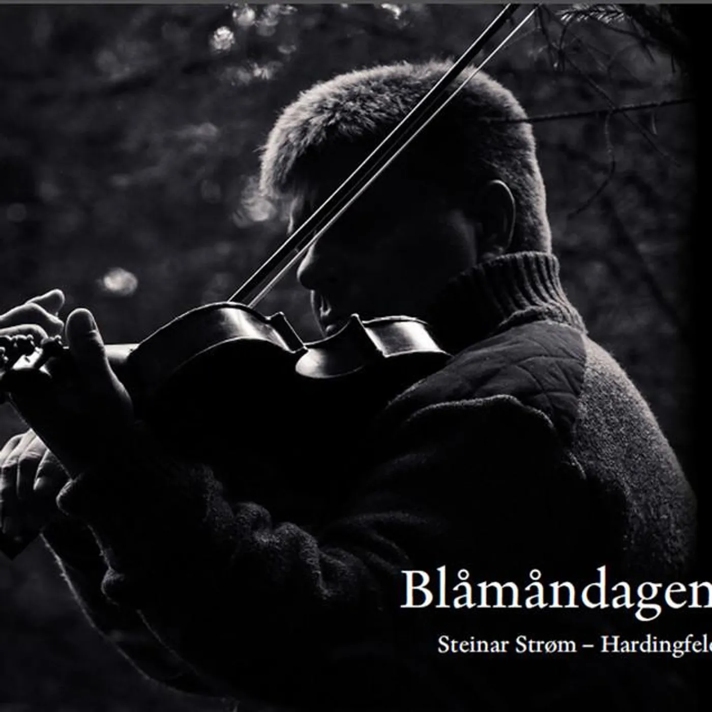 Steinar Strøm