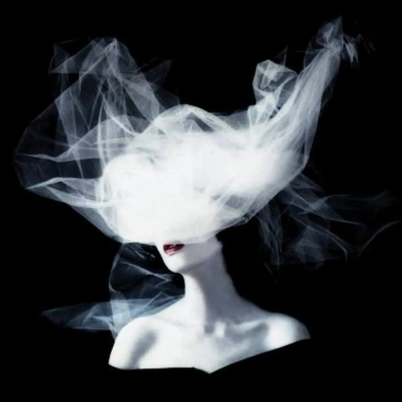stellastarr* Brand Page