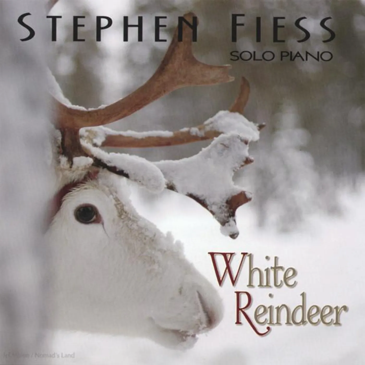 Stephen Fiess