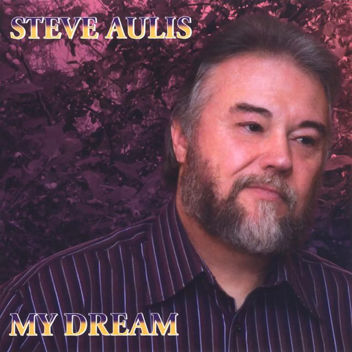 Steve Aulis