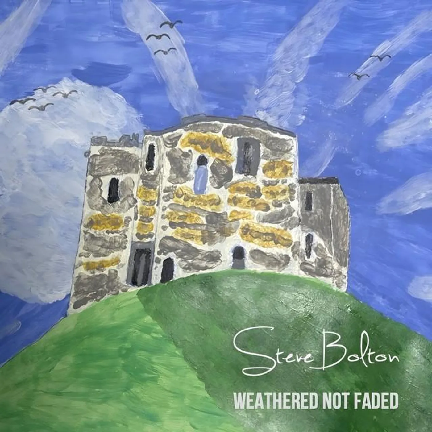 Steve Bolton Brand Page