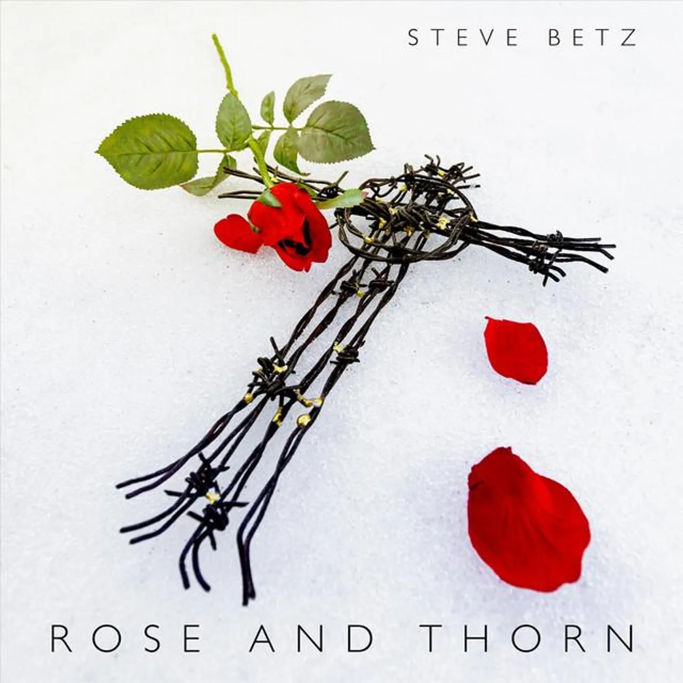 Steve Betz Brand Page