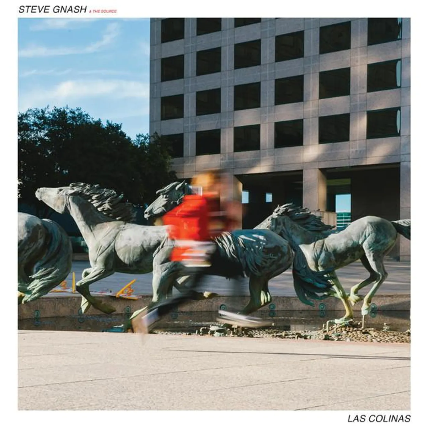 Steve Gnash