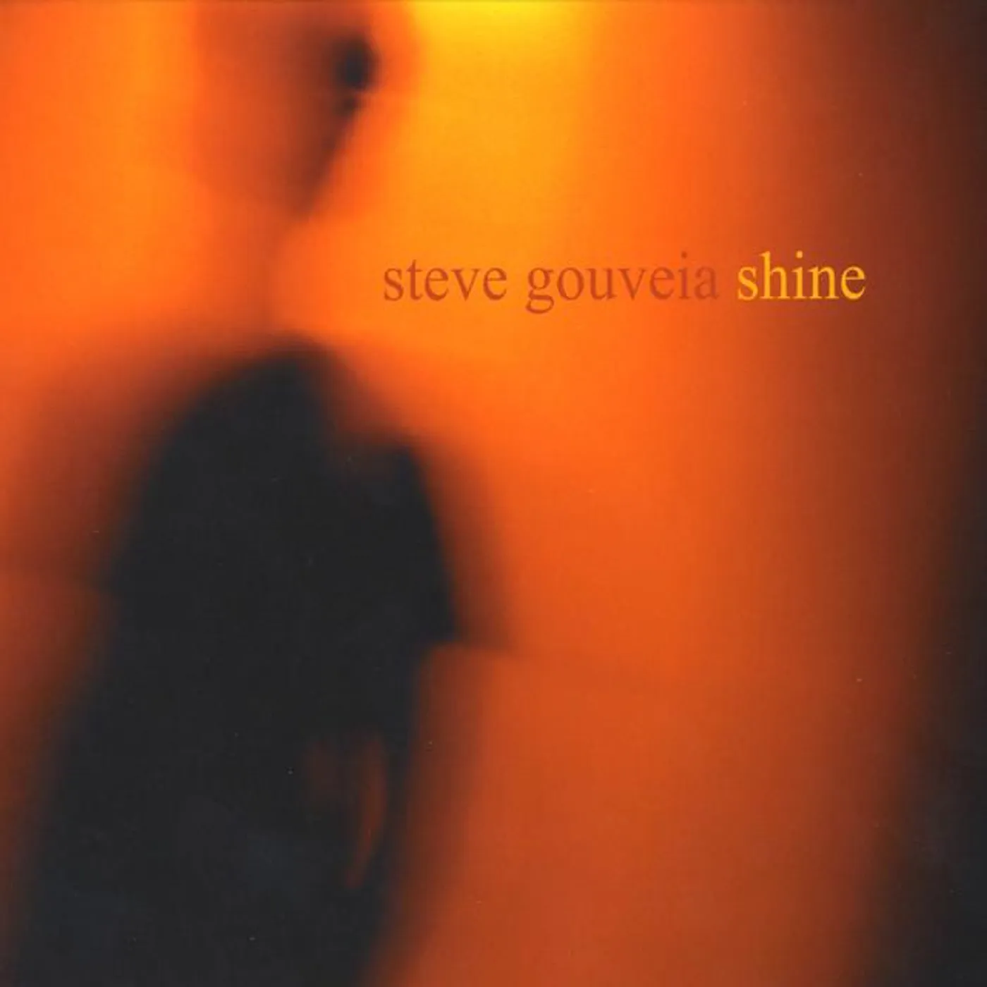 Steve Gouveia Brand Page