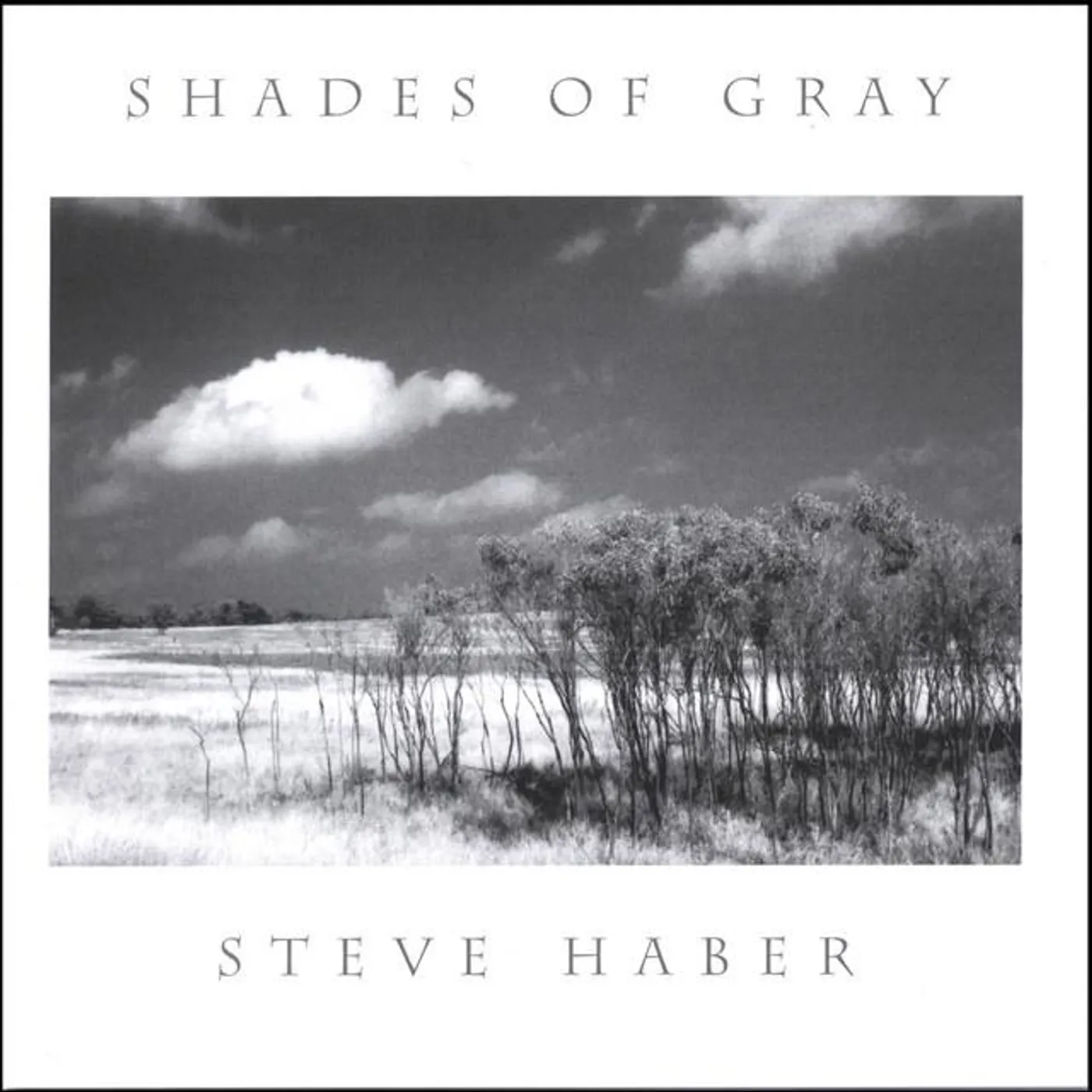 Steve Haber Brand Page