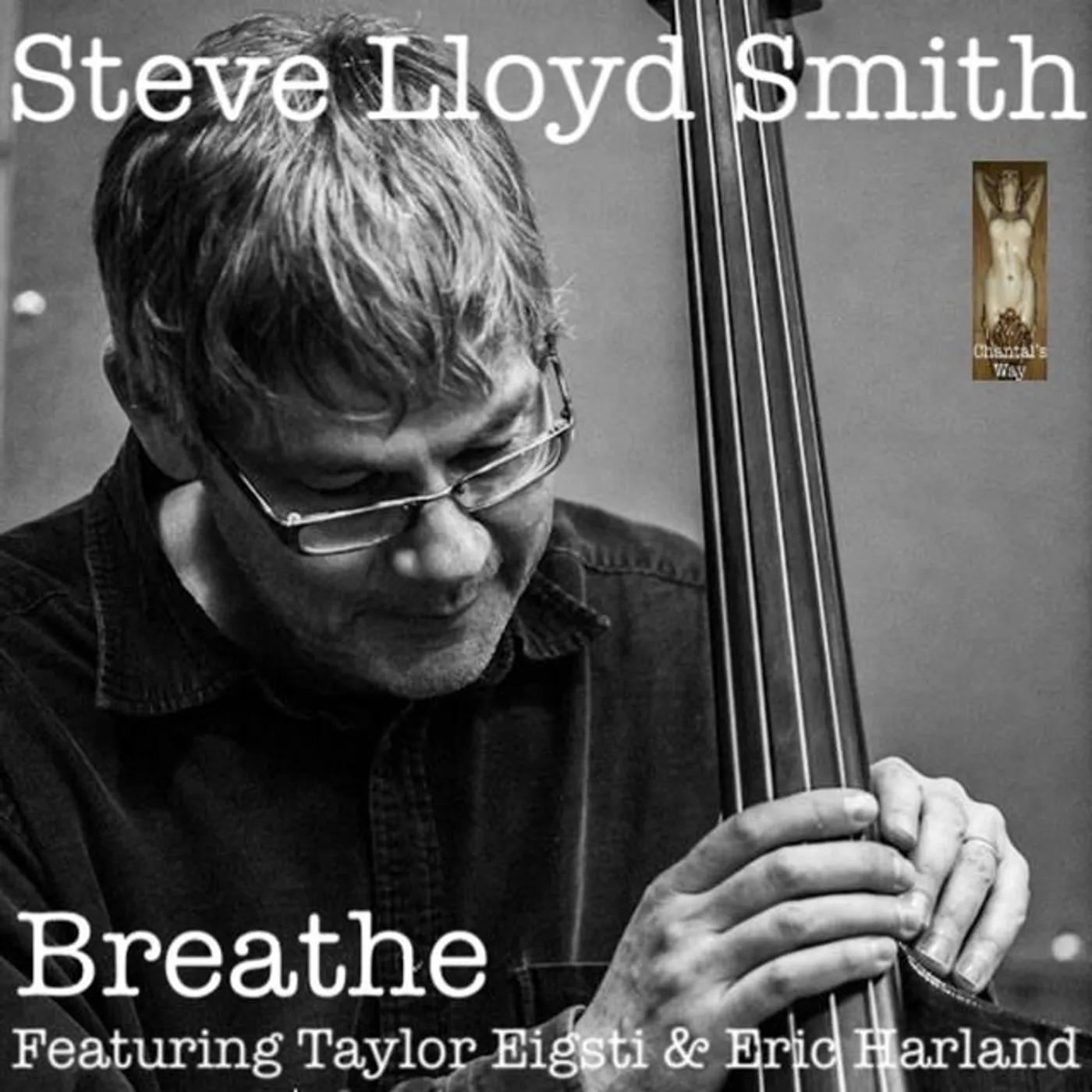 Steve Lloyd Smith Brand Page