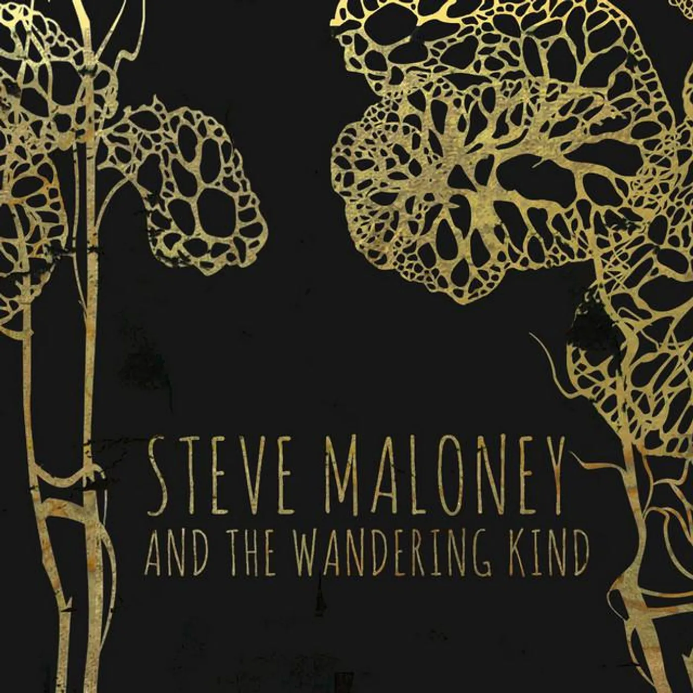 Steve Maloney and the Wandering Kind