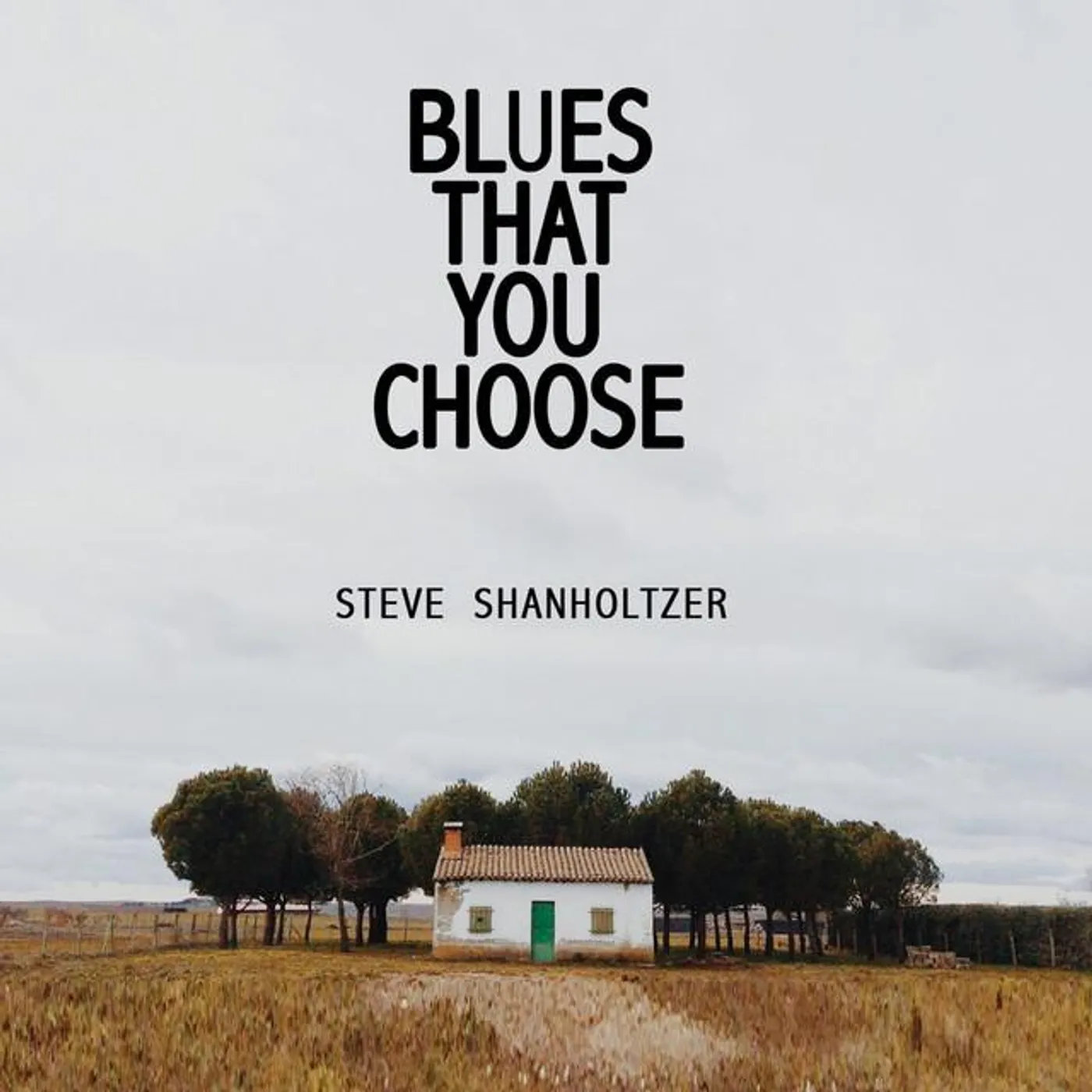 Steve Shanholtzer