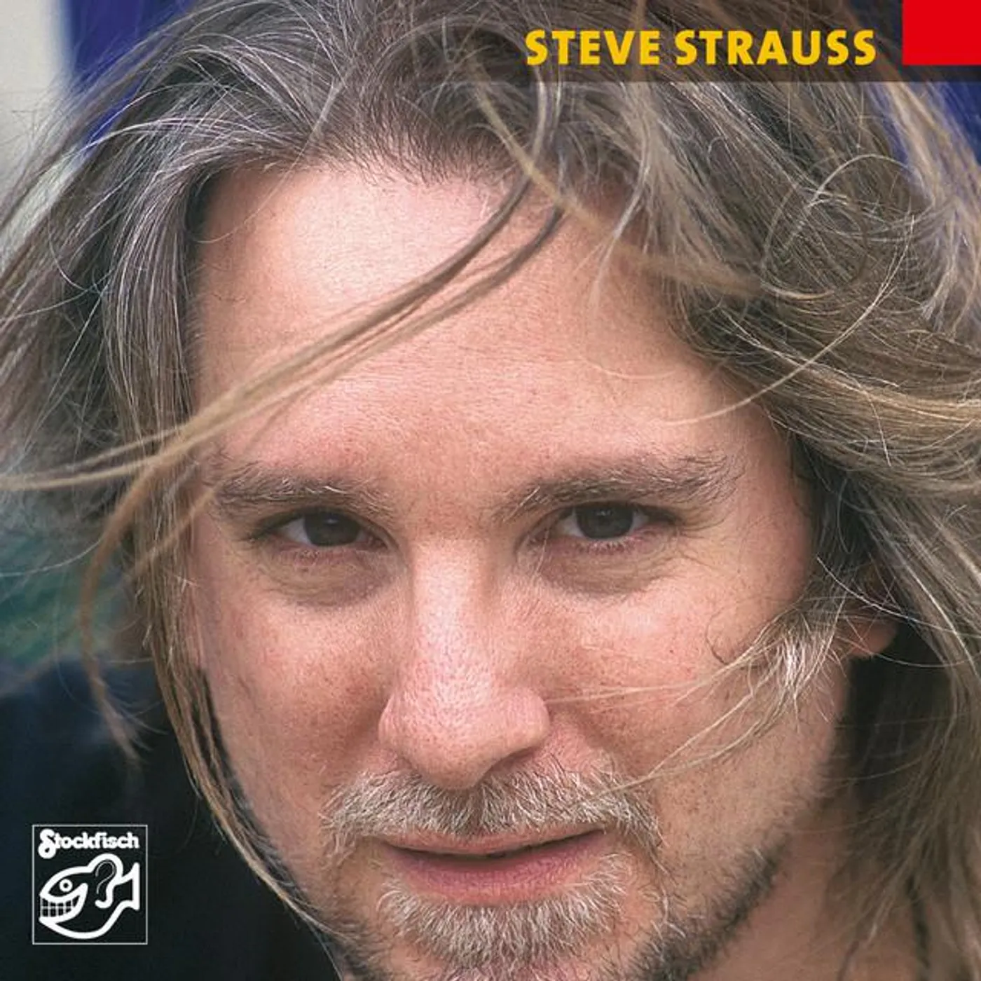 Steve Strauss