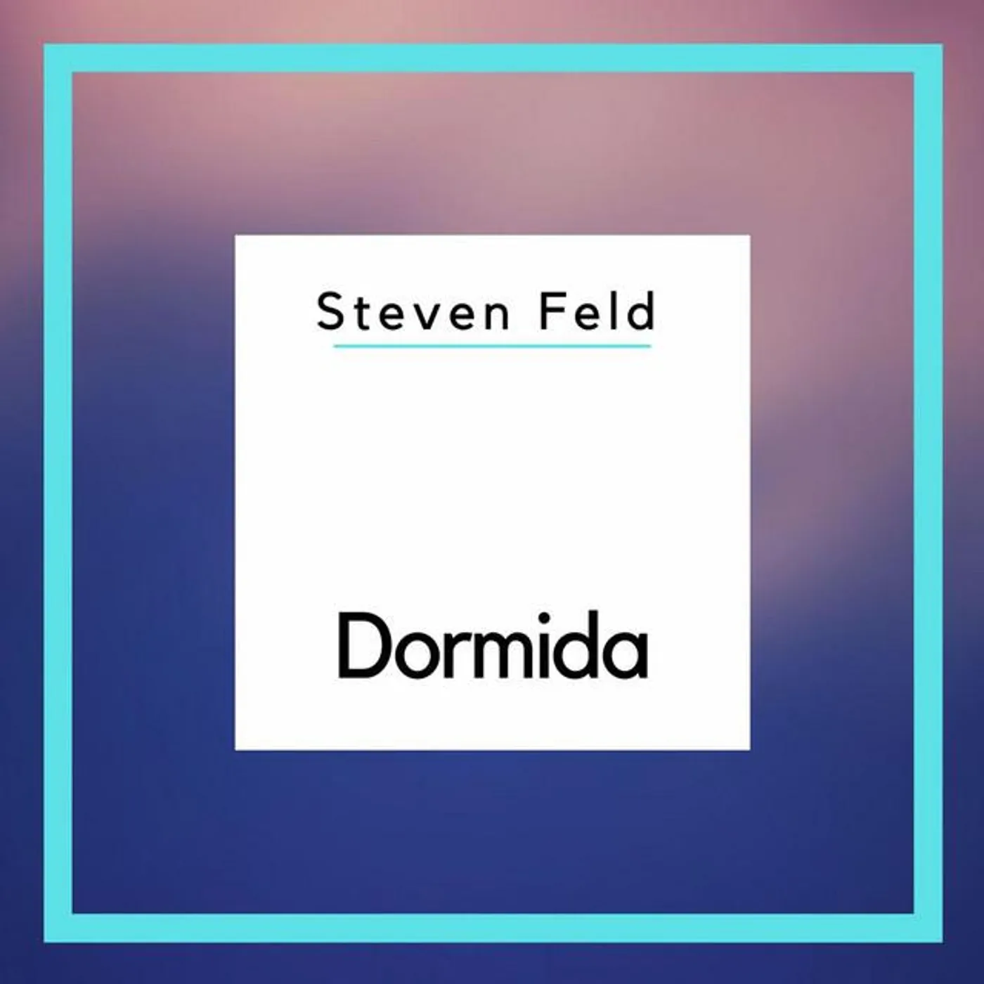 Steven Feld