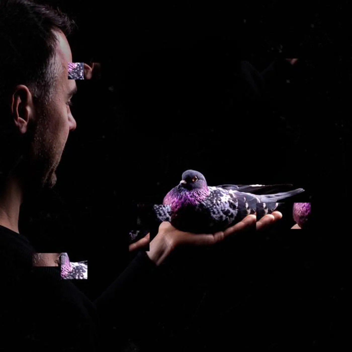 Stimming Brand Page