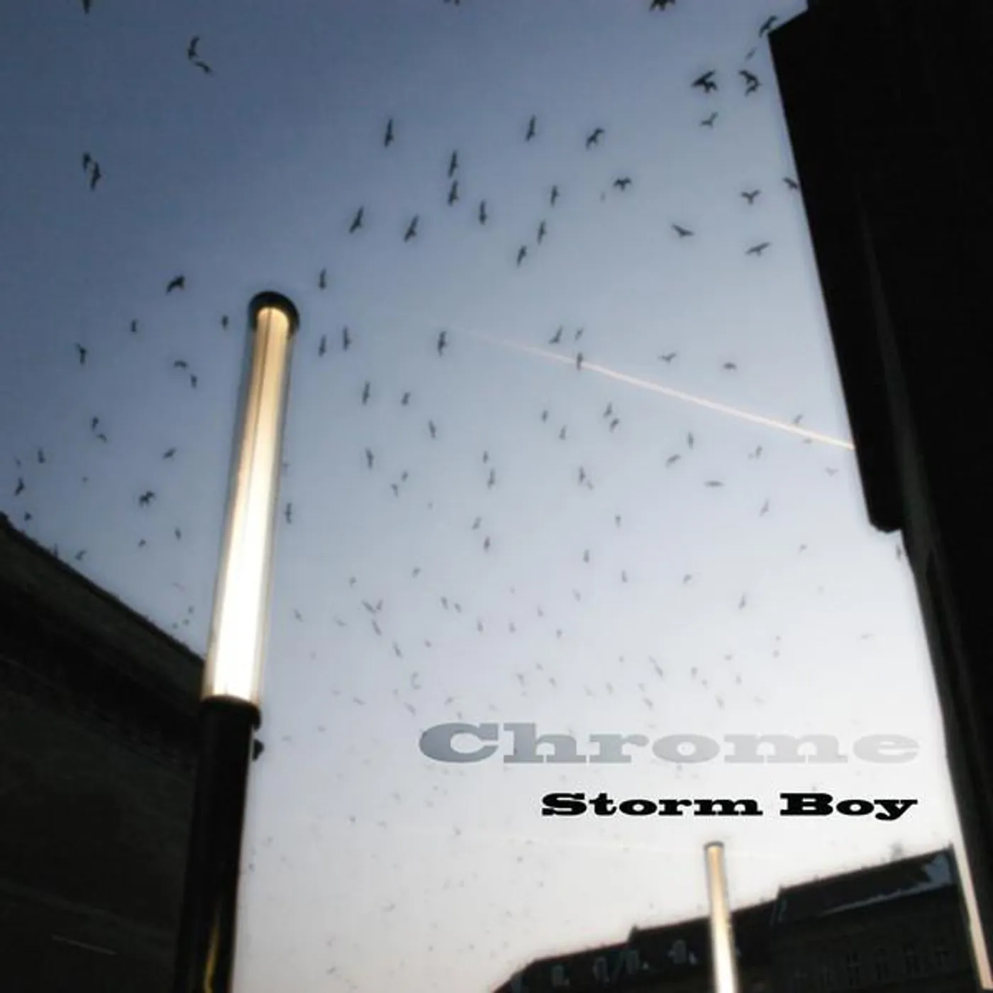 Storm Boy