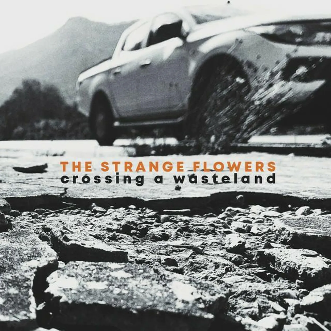 The Strange Flowers