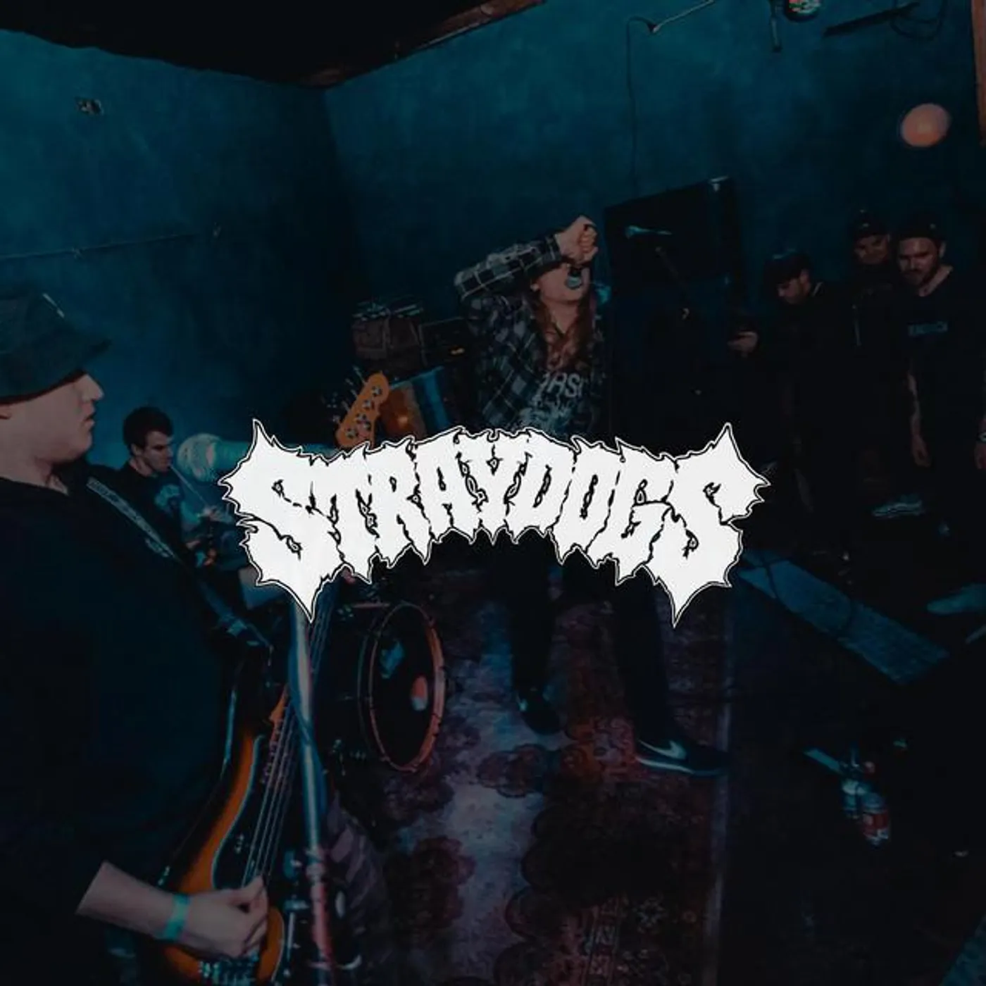 Stray Dogs HC