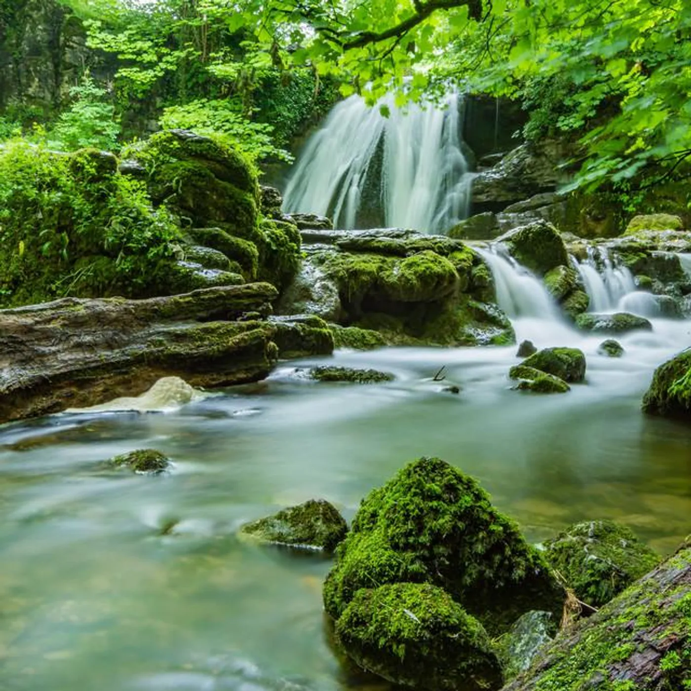 Stream Water Flowing