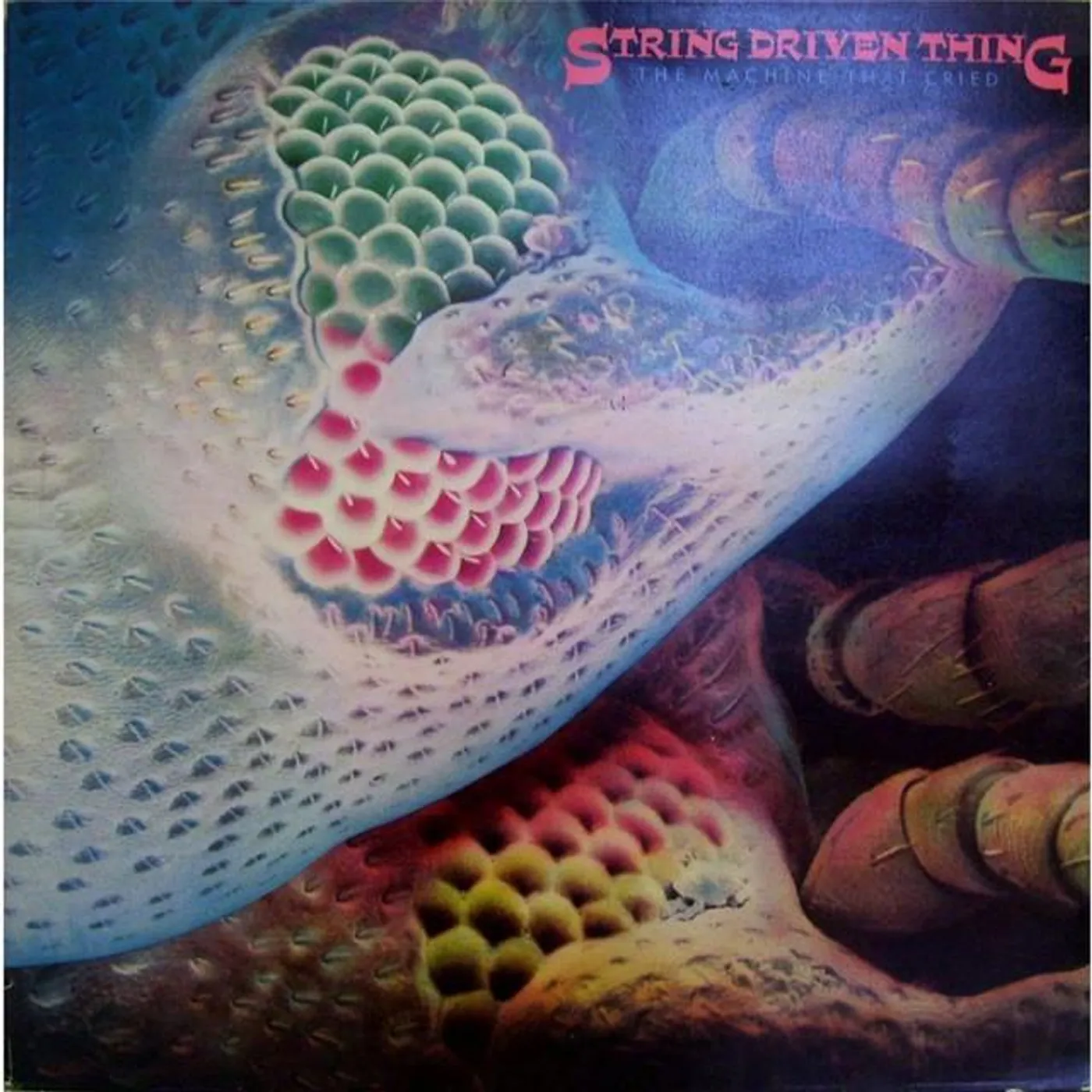 String Driven Thing Brand Page