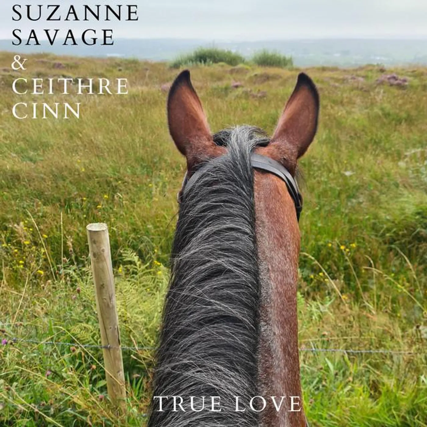 Suzanne Savage