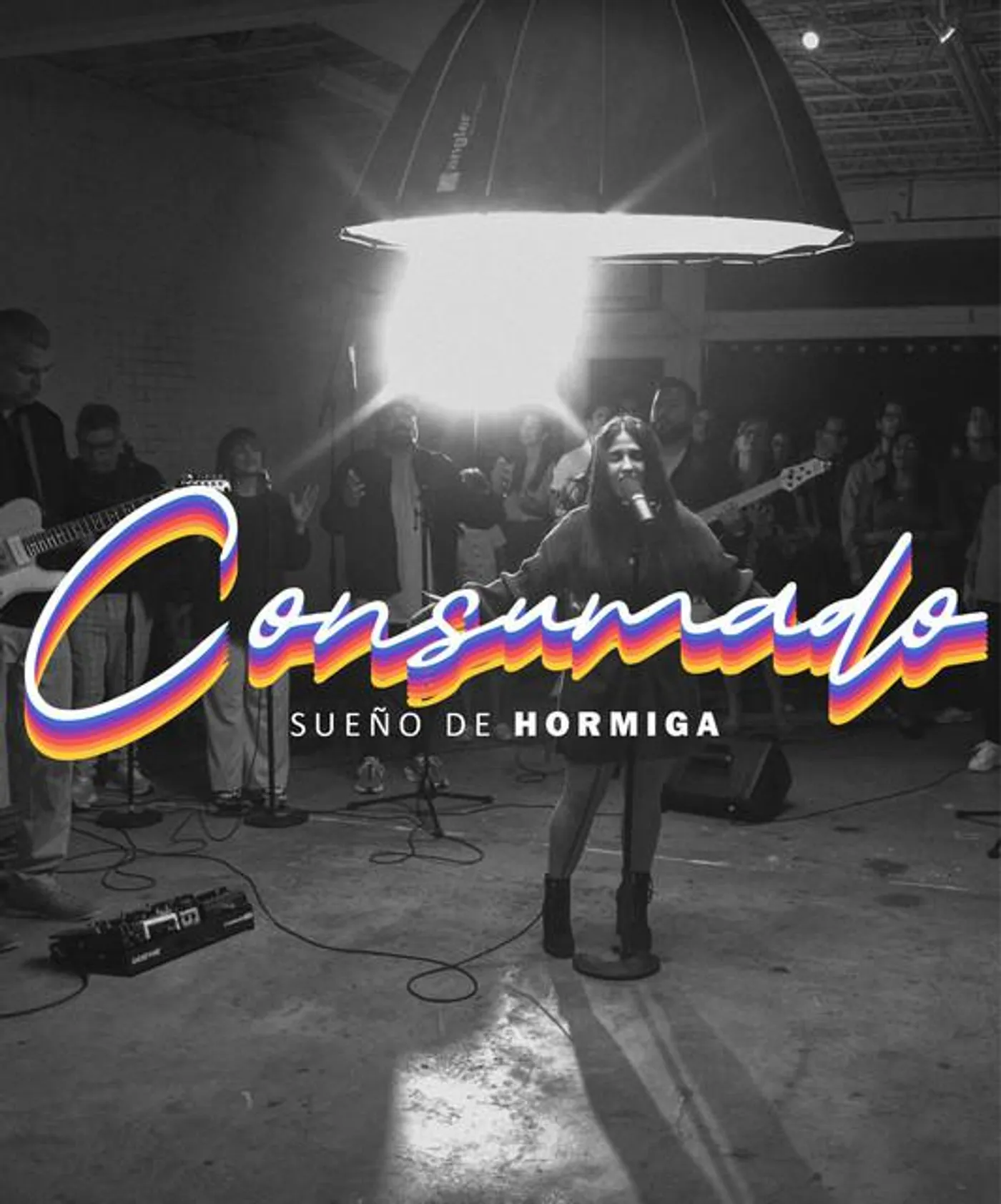 Sueño De Hormiga