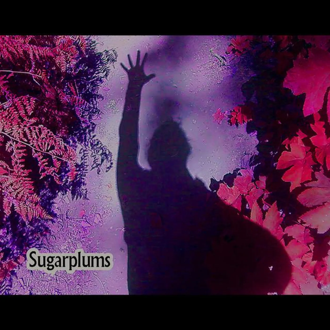 Sugarplums Brand Page